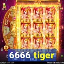 6666 tiger